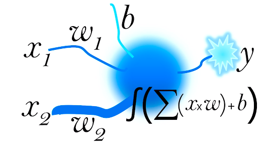 Activation Function